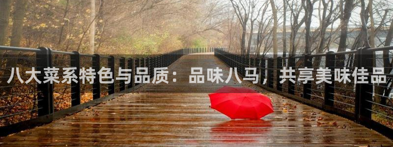 龙八国际城网站