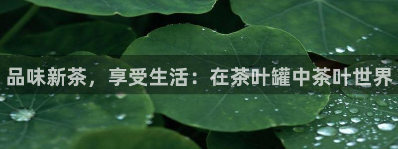 龙八国际官网手机版登录