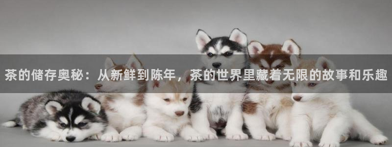 龙八国际最新版本下载