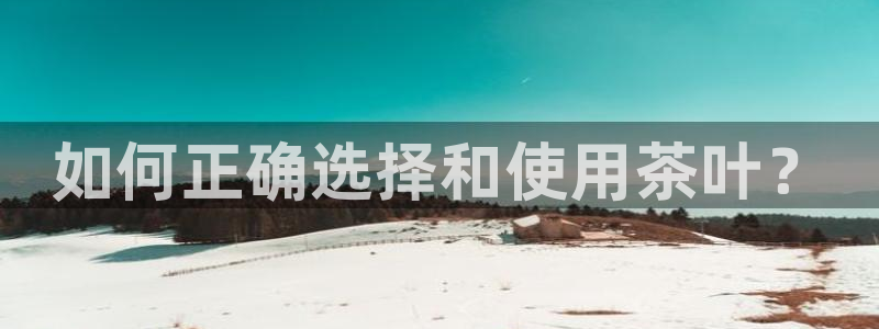 龙八国际这个平台在哪里