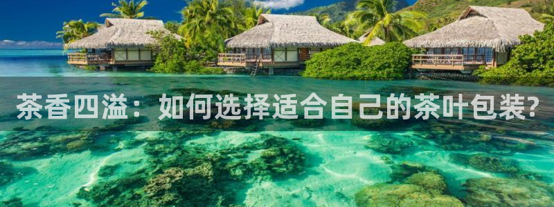 龙八国际娱手机