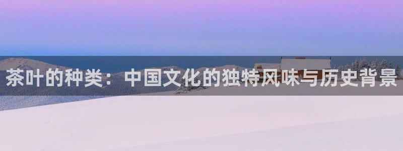 龙八国际我要登录