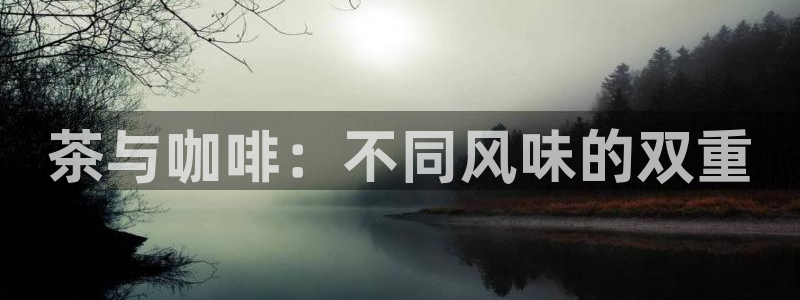 龙八国际登录f68点top