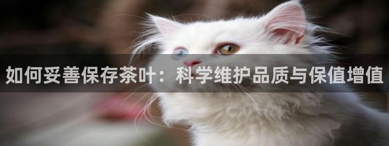 龙八国际服官网入口