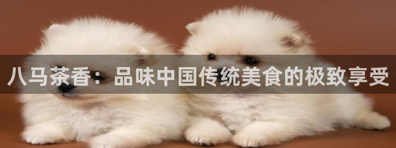 龙八国际视频网站