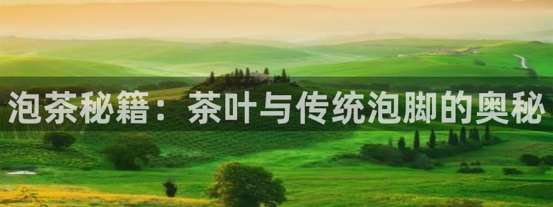 龙八国际城客运站电话