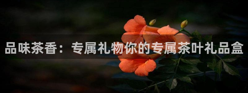 菲律宾的龙八国际