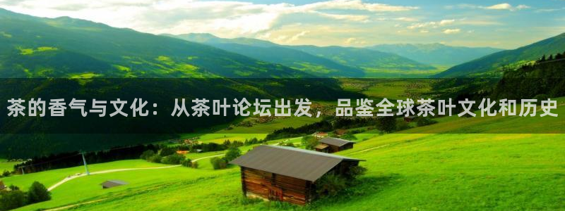 手机版龙八国际官网