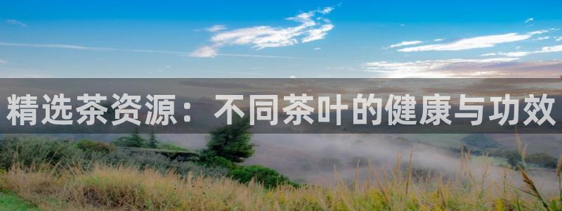 龙八国际下载全部收藏pity