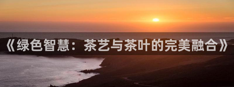 龙八国际网址f68点top