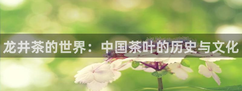 龙八国际官方首页