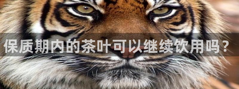 下载龙八国际手机版手游