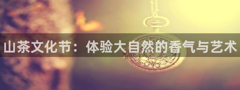 龙八国际网站多少