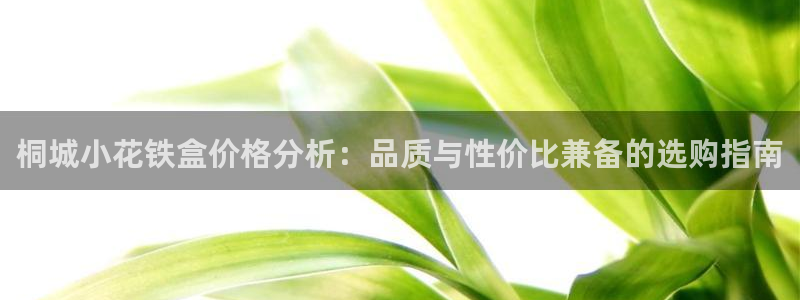龙八国际客户端