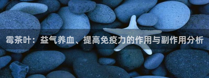 龙八国际服