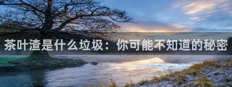 龙八国际官网