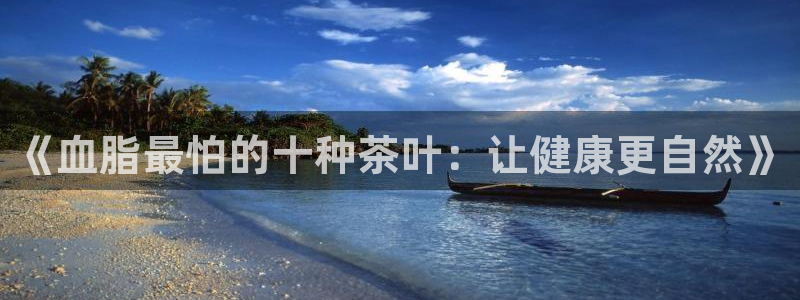 龙八国际优惠