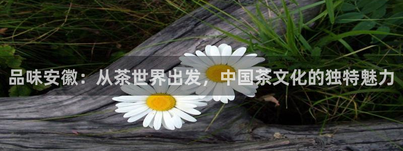 龙八国际手机登录入口