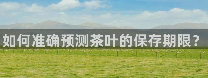 龙八国际官网登录
