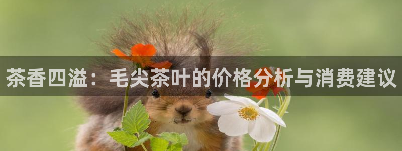龙八国际官网苹果