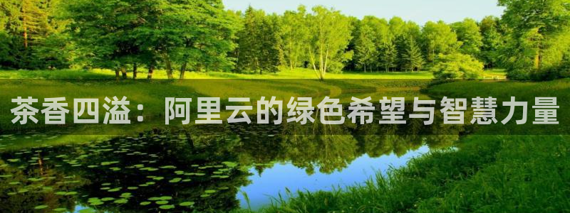 龙八国际可靠