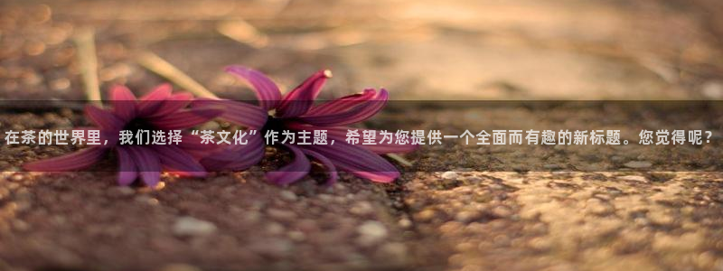 龙八国际是不是黑平台