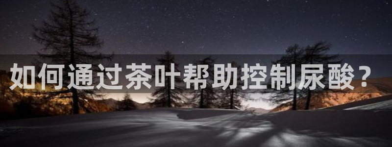 不会玩龙八国际