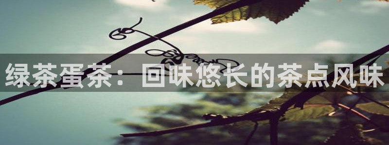 龙八国际app下载安卓