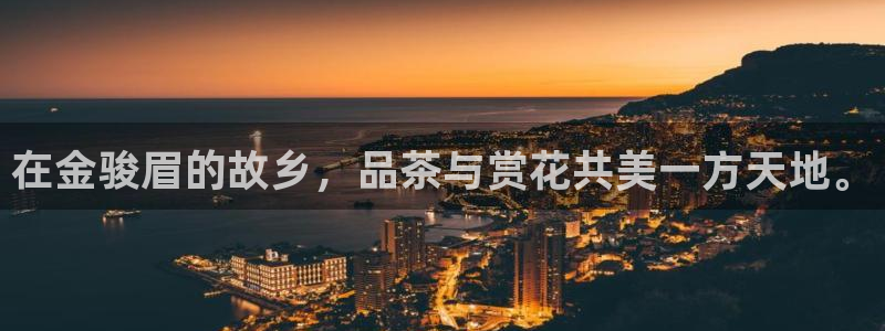 龙八国际娱乐 pt