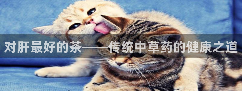 龙八国际怎么进不去了